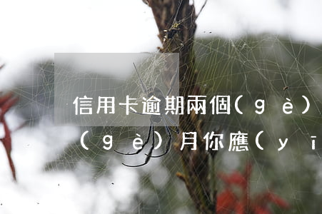 信用卡逾期兩個(gè)月，信用卡逾期兩個(gè)月，你應(yīng)該如何處理？